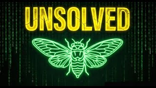 Cicada 3301: The Internet's Darkest Mystery 🕵️‍♂️ Net Worth