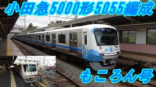 【小田急電鉄】小田急5000形5055編成　もころん号