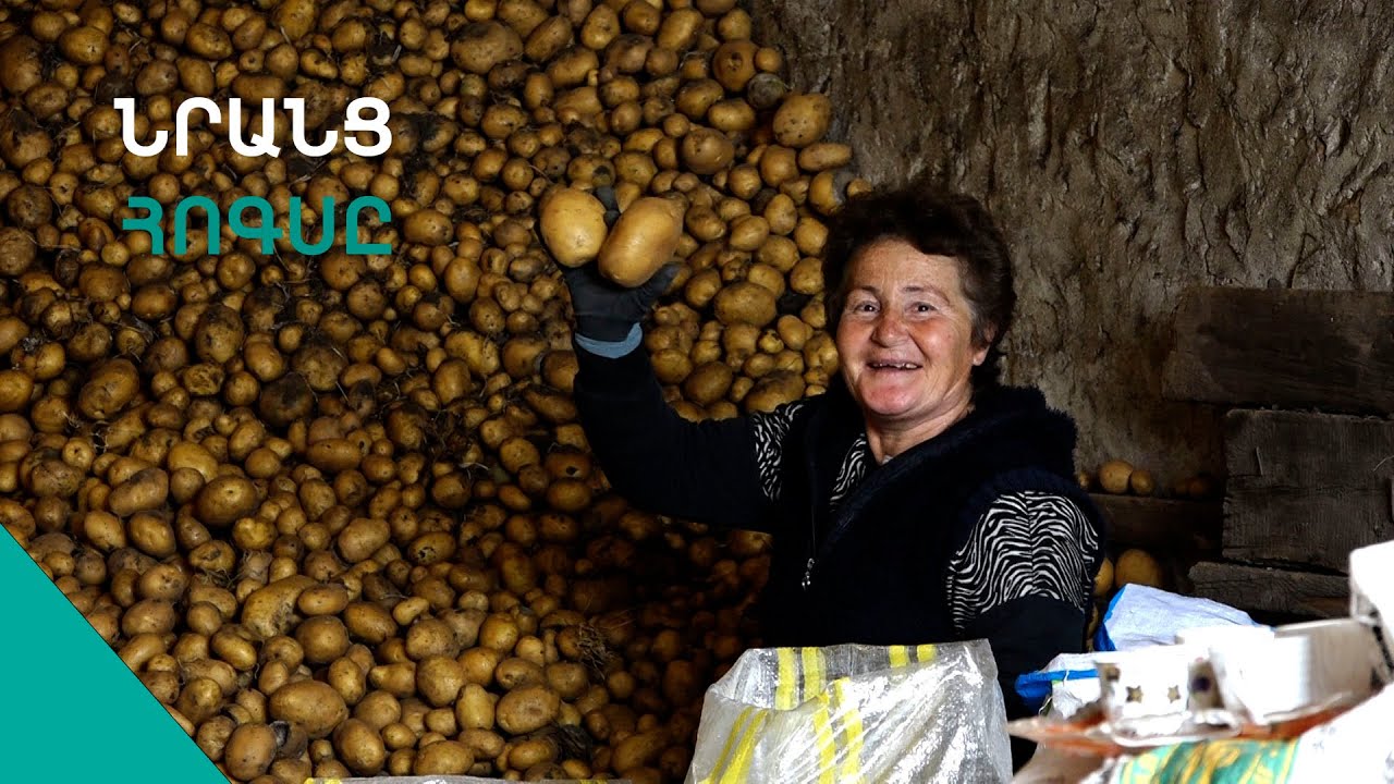 «Մինչև թոշակի ընգնեմ, էնա բերանիցս մեռլի հոտ կգա էլի»