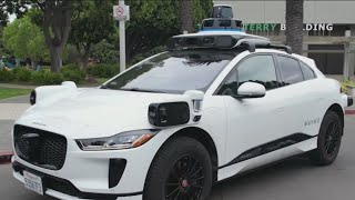 Waymo expanding fleet of driverless cars