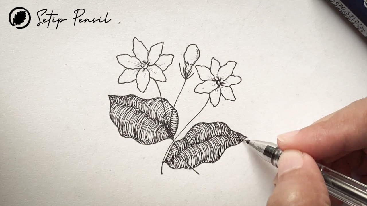 Cara Menggambar Bunga  Melati  ASMR Flowers Drawing  