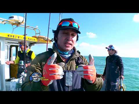 MANCING MANIA 12 Des 2015 - MENCARI MARLIN SAMPAI BATAS FILIPINA 3-1