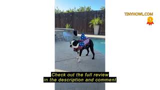 Review SUNFURA Dog Life Jacket Shark Life Vest for Dogs, Adjustable Swmming Vest with High Buoyancy,