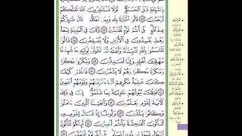 الصفحة 381 من المصحف الشريف  سورة النمل   مشروع حفظ القرآن الكريم