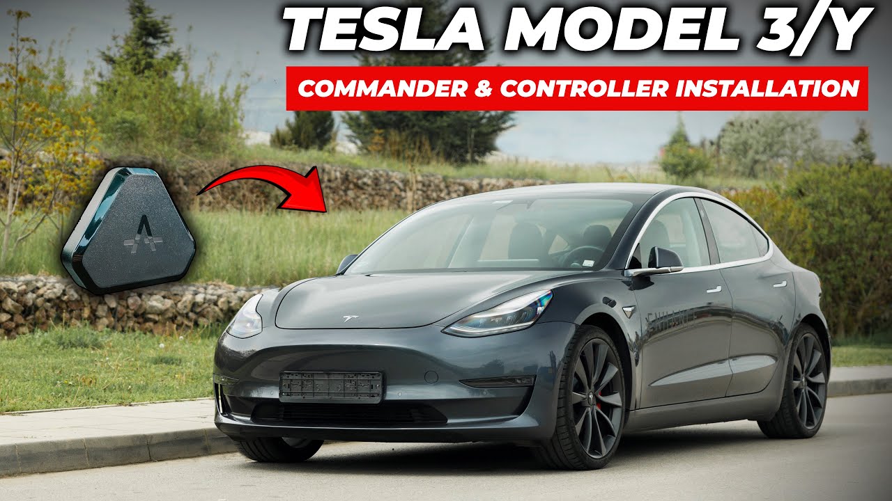 S3XY Stalks + Commander