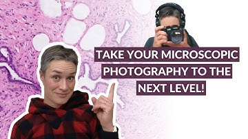 How to take good microscopic pictures with your phone or microscope camera?
