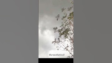 Thumbnail of last stage of love 🥺 #alone #love #sadmusic #song #sadsongs #sad #music #sraesthetics#rain #trending