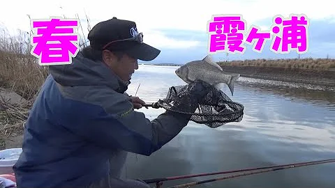 霞ヶ浦で春のヘラブナ釣り クルージャン グルテン 底釣り Mp3