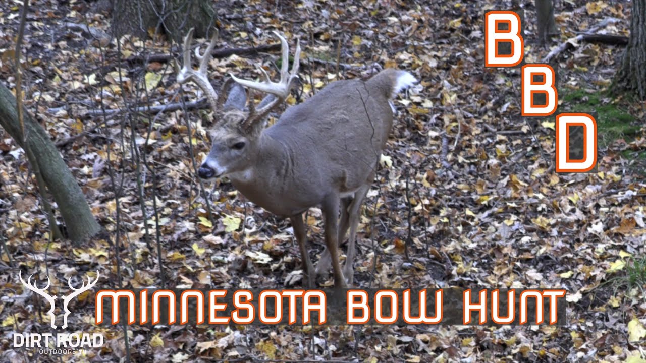 BOW HUNTING MINNESOTA 170 Down YouTube