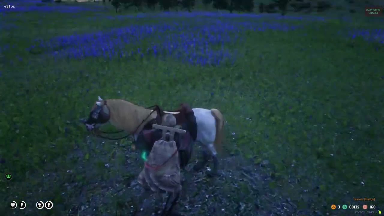 ไฮไลต์: 40 v82