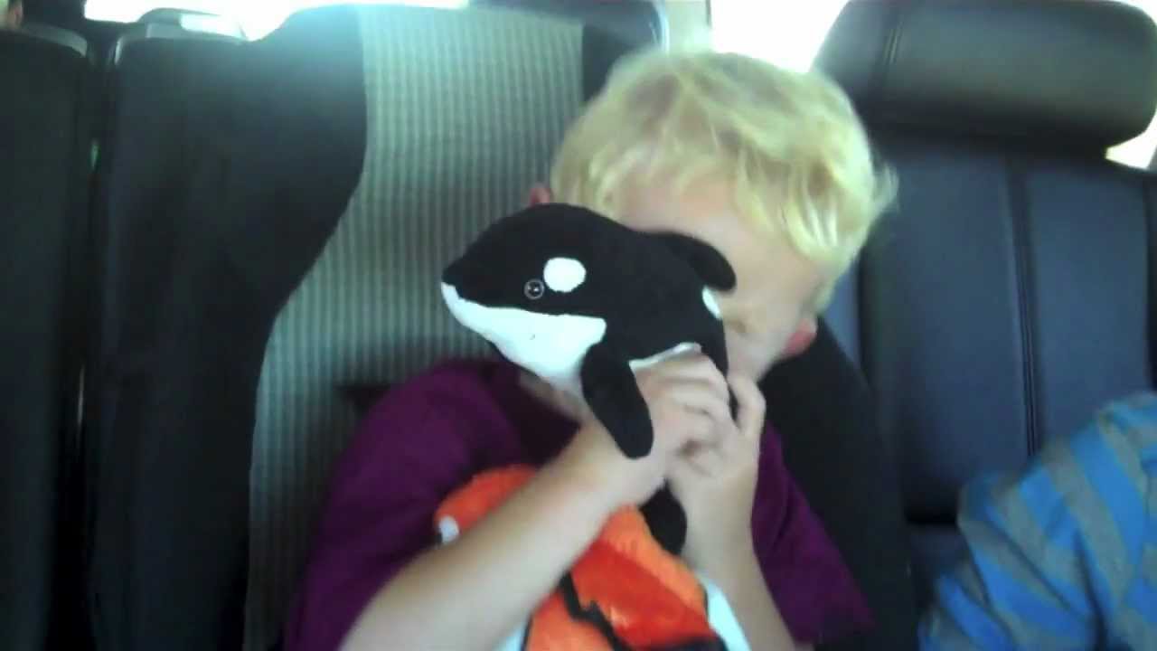 Flipping Baby!!! YouTube