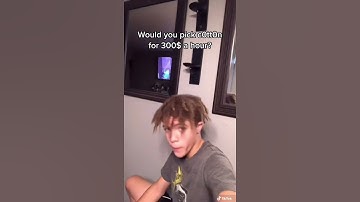 Would you pick cotton for $300 an hour? 🤔