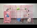 DIY Dog House For Pomeranian Puppies With Cube Grid Wire Storage | MR PET