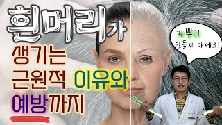 흰머리가 생기는 근본을 최초로 밝히다! 파뿌리 흰머리가 안 생기게 하려면?