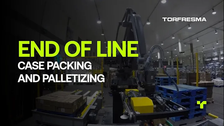 Turnkey End of Line Solution - Case Packing and Palletizing