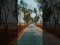 Yamaha r15v4 bike riding status 🏍️💨🔥#yamaha​ #yamahar15​ #bik​#bikeride​ #biker​ #bikelover​