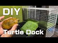 100均だけで簡単にイシガメの陸地を作ってみました BEST DIY HOMEMADE TURTLE DOCK EVER JAPANESE POND TURTLE 