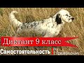 Диктант по русскому языку с проверкой! 9 класс.  Самостоятельность.