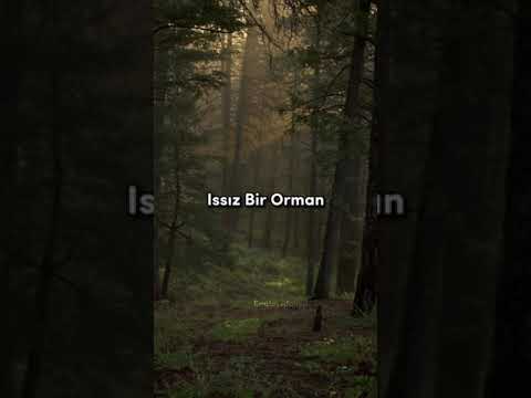 Terk edilmiş yerlerde