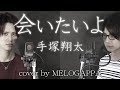 手塚翔太(田中圭)「会いたいよ」ドラマ「あなたの番です-反撃編-」主題歌(cover by MELOGAPPA) フル歌詞付き