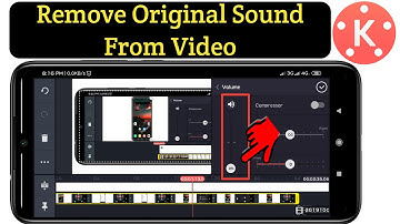 How to remove Original Sound and Replace with another by Kinemaster