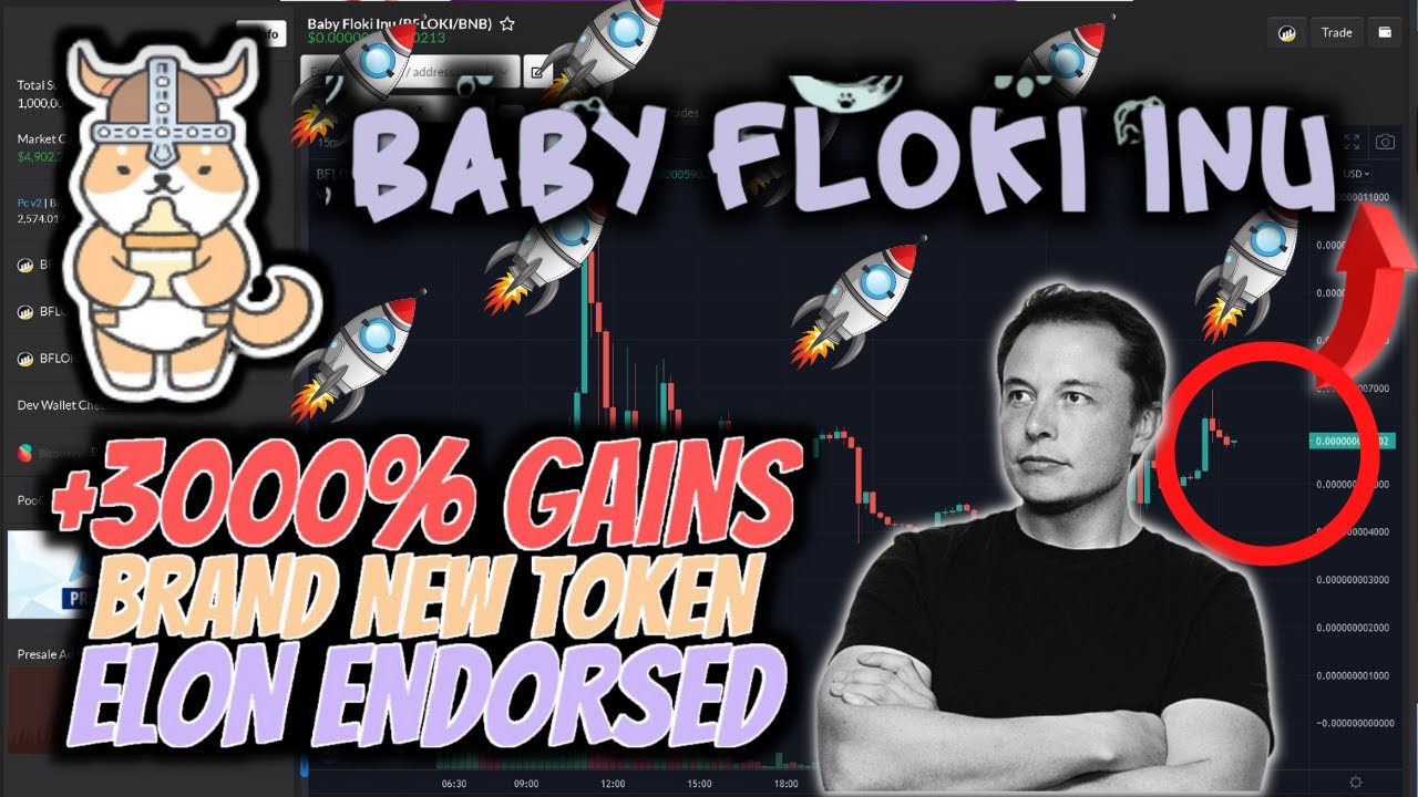 BABY FLOKI INU , 1000X Token June 2021, New Low Market Cap Crypto ! How ...