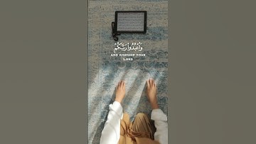 يا أيها الذين امنوا اركعوا واسجدوا واعبدوا ربكم #قرآن #قران_كريم #شير_في_الخير #سورة_الحج