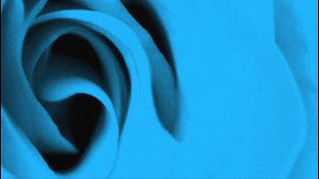 William Orbit - Barber