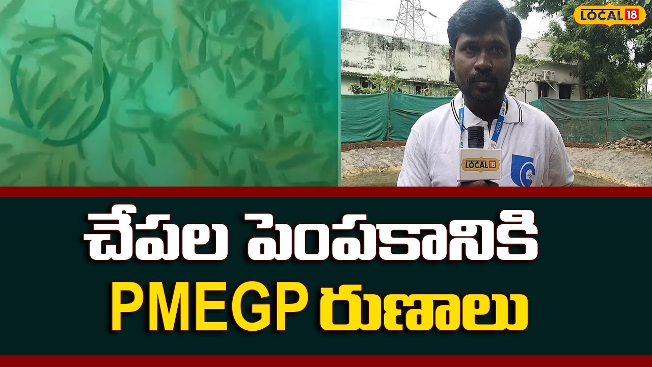 Fish Farming Boosted by PMEGP Loans | చేపల పెంపకానికి PMEGP రుణాలు | 
