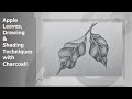 Apple leaves drawing  shading l shading with charcoal  brush shading techniques for beginners 4