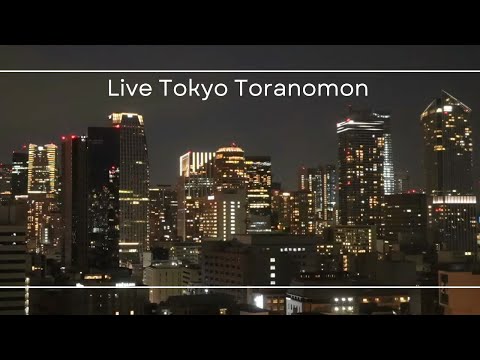 Night view of skyscrapers in central Tokyo/東京都心の高層ビル群の夜景 2023.1.26-27