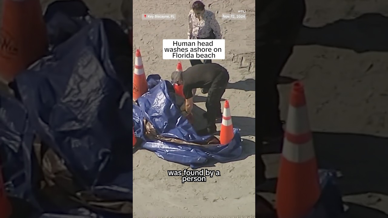 Human head washes ashore on Florida beach Human head washes ashore on Florida beach