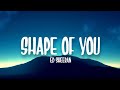 Ed Sheeran - Shape Of You (Lyrics)