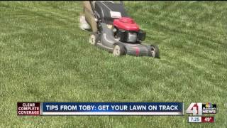 Tips from Toby: get your lawn on track