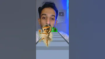 بالرينا كابوتشينا هتتجوز بربرباتبيم ولا تون تون ساهور 