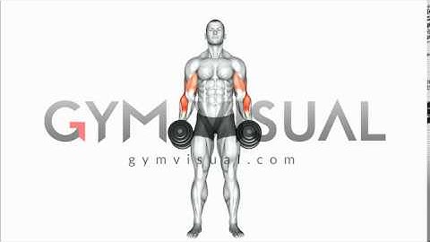 Dumbbell Cross Body Hammer Curl