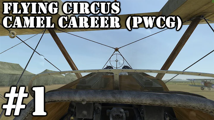 Embark on a Thrilling Camel Career Adventure
