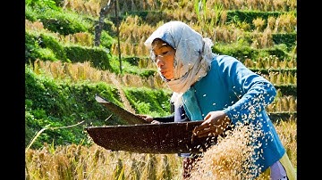 映画『あまねき旋律（しらべ）』予告編