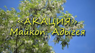 Рыбалка на водоёме Акация. Майкоп. Адыгея 20 мая 2021