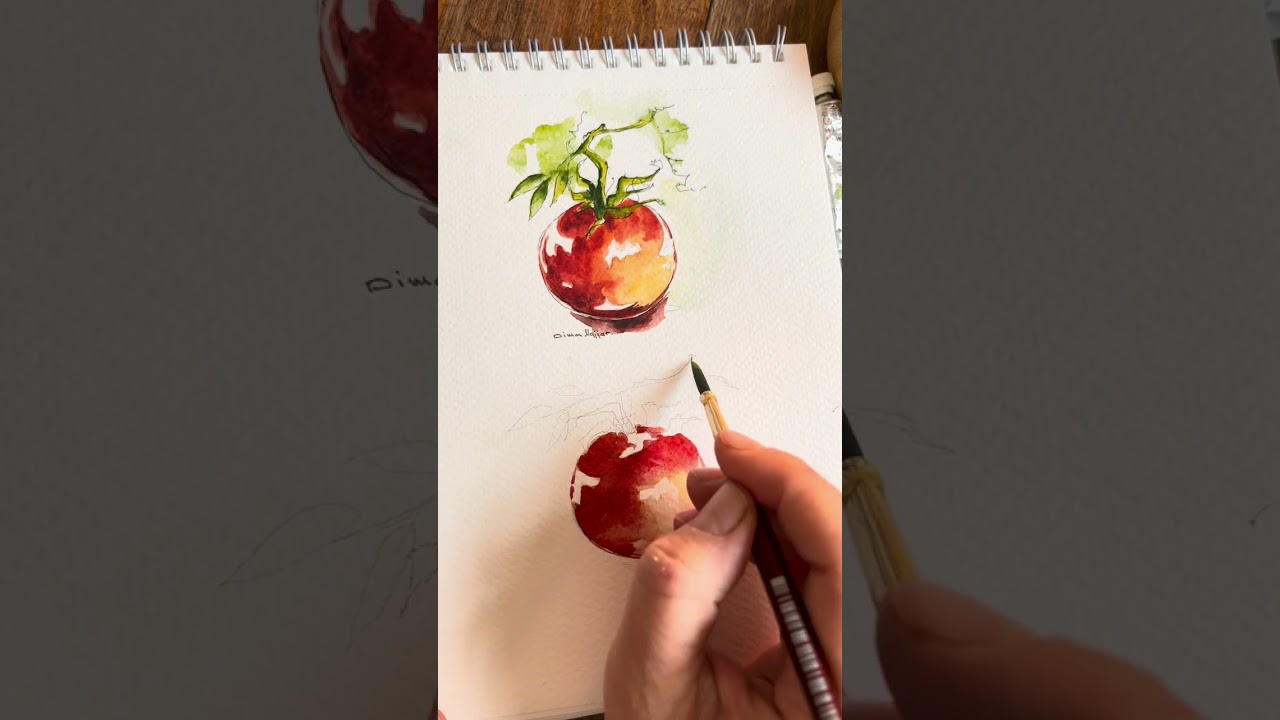 ألوان مائية للمبتدئين خطوة بخطوة ..سلسلة الطبيعة الصامتة •	tomato watercolor tutorial