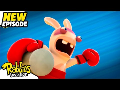 Boxing Rabbids (S04E21) | RABBIDS INVASION | New episodes | Cartoon for Kids