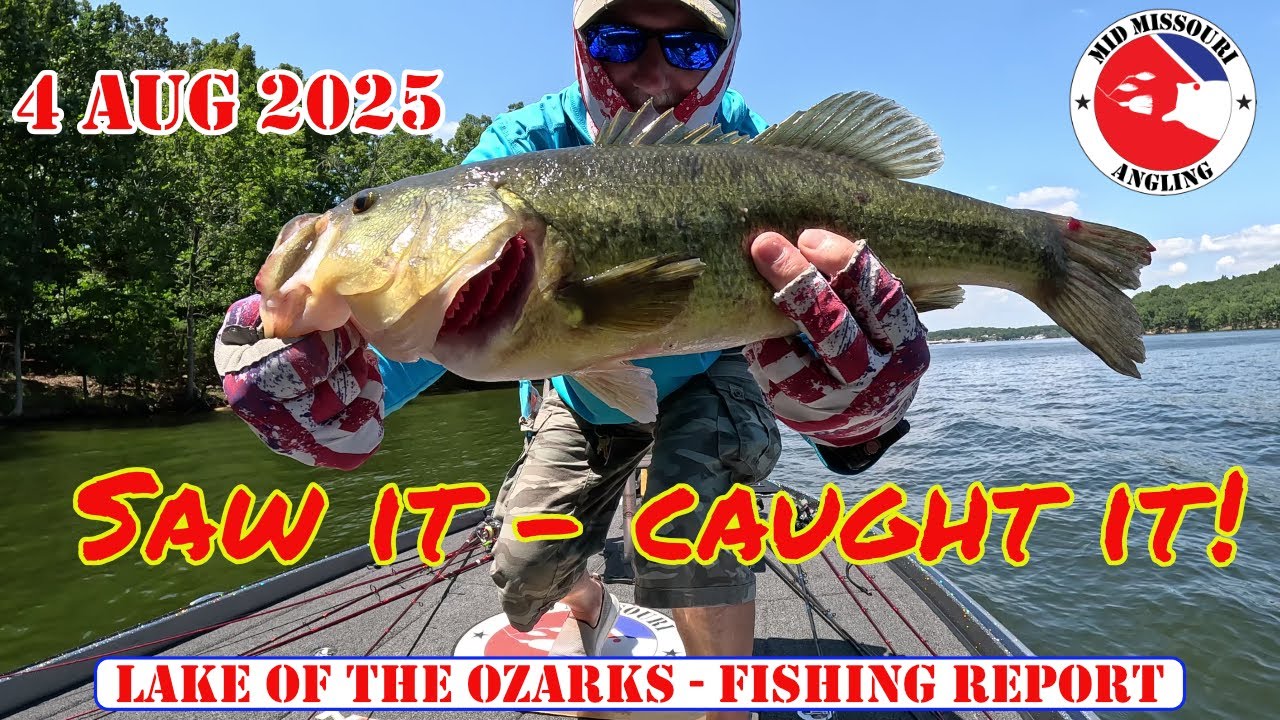 Lake of the Ozarks Bass Fishing – 4 Aug 2025 | Fishing report