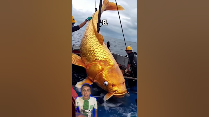 Pez más grande del mundo 🌍 🐠 #youtubeshorts  #funny  #shorts  #viralvideo