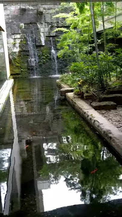 japanese style garden pond and fall for your short meditation