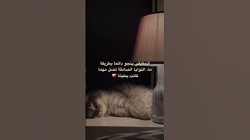 قران كريم #قرآن #اقتباسات #ترند #اكسبلور #اسلام_صبحي #حالات #راحة_نفسية #quran #trend #explore