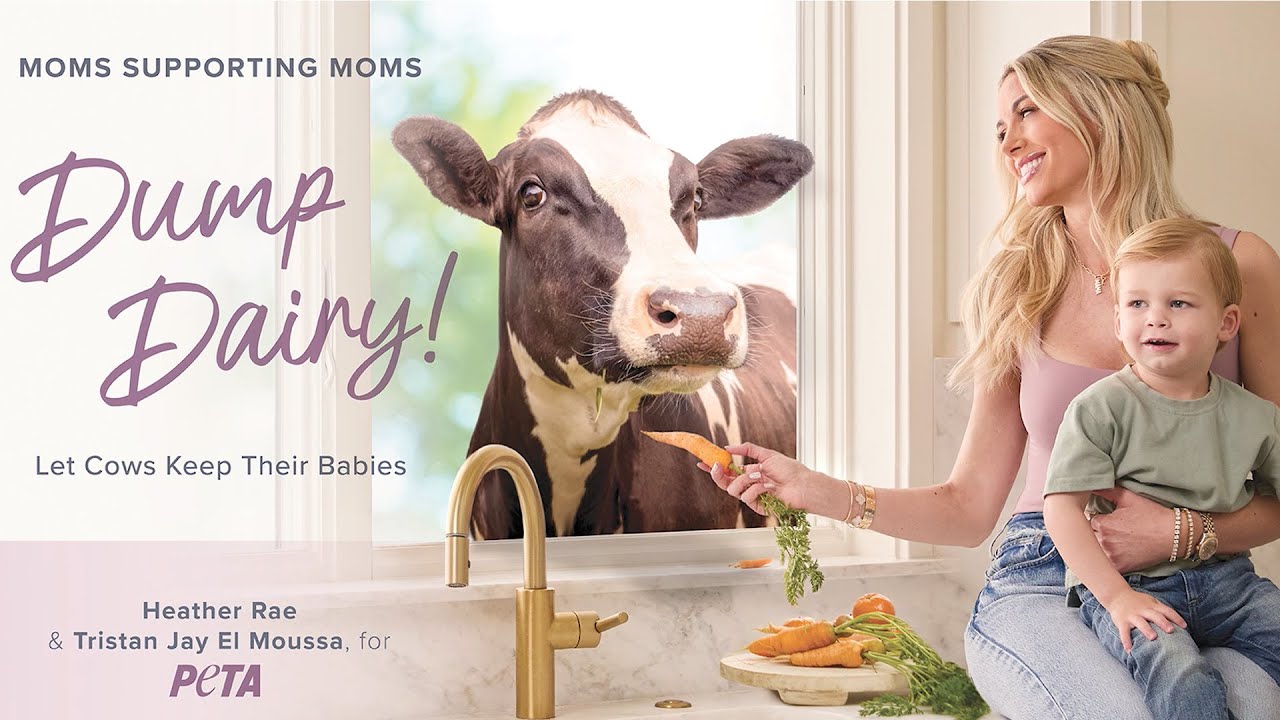 Heather Rae El Moussa's Kid-Friendly Vegan Taste Test | PETA