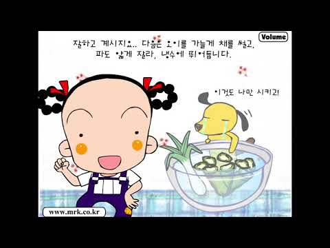 미스터케이 국제시장점