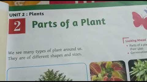 Class3 (SCIENCE) Chapter 2 - Parts of a Plant [ Topic 1]