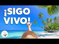 ¡SIGO VIVO!