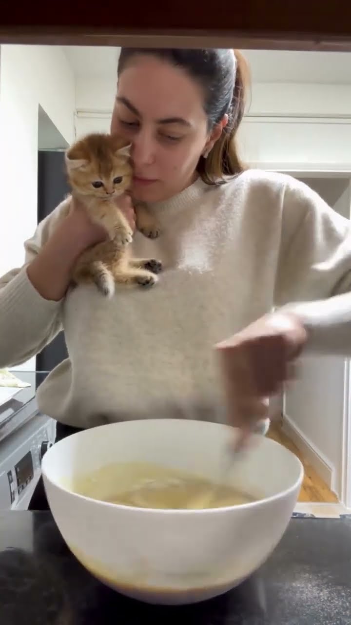 Bebecha très mignon ?????????????? #cat